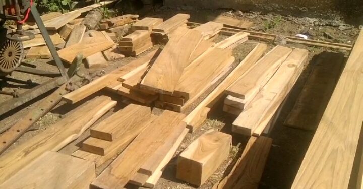 अकोटात वनविभागाची अवैध सागवान मालावर धडाकेबाज़ कार्यवाही