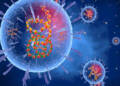 Lassa Fever