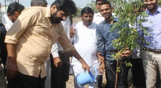 tree Plantation