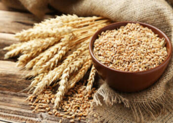 Wheat