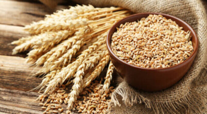 Wheat
