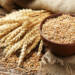 Wheat