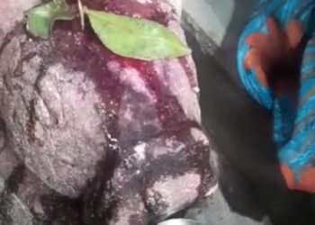 चक्क मंदिरातील दगडाचा नंदी पाणी पितो! जिल्हाभरात खळबळ नागरिकांची झुंबळ