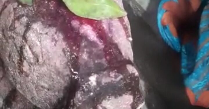 चक्क मंदिरातील दगडाचा नंदी पाणी पितो! जिल्हाभरात खळबळ नागरिकांची झुंबळ