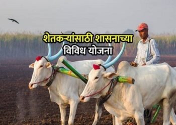 government-scheme-640-19 (1)