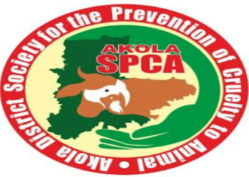 World Veterinary Day: