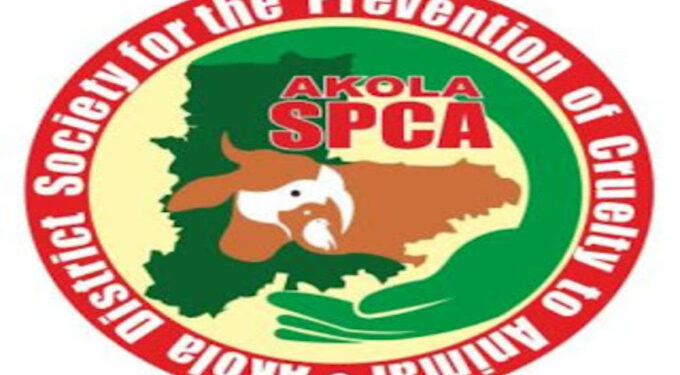 World Veterinary Day: