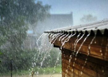 Rain