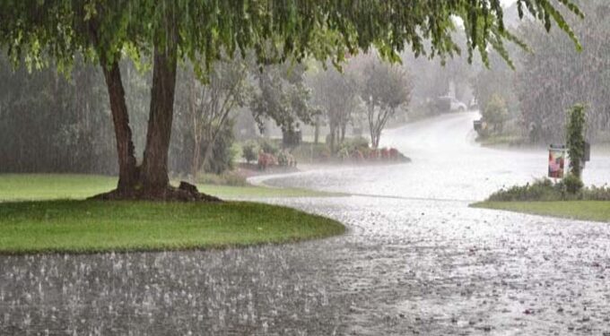 rain-1 (1)