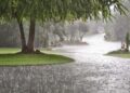 rain-