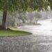 rain