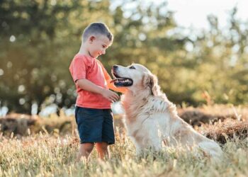 animales-domesticos-