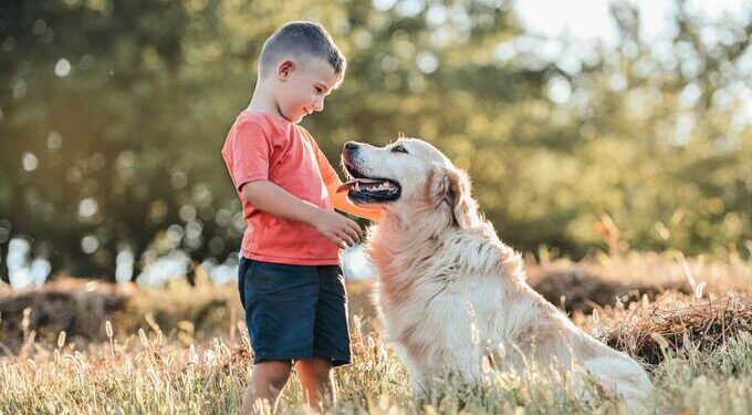 animales-domesticos-