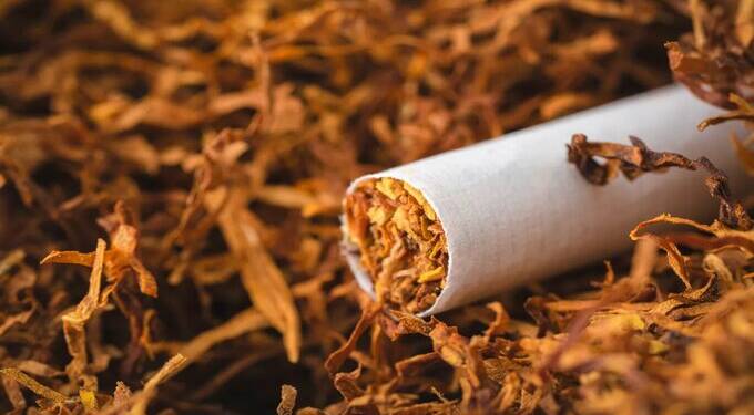 Anti-Tobacco Day Special