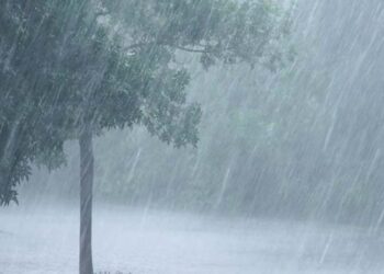 rain-2 (1)