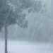 rain-2 (1)
