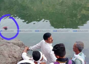 рд╡рд╛рд░реА рдпреЗрдереАрд▓ рдХреБрдЦреНрдпрд╛рдд рдорд╛рдорд╛ рднрд╛рдЪрд╛ рдбреЛрд╣рд╛рдиреЗ рдШреЗрддрд▓рд╛ рдПрдХрд╛рдЪ рдЖрдард╡рдбреНрдпрд╛рдд рджреБрд╕рд░рд╛ рдмрд│реА