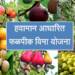 पुनर्रचित हवामान आधारित फळपिक विमा योजना; शेतकऱ्यांनी सहभागी व्हावे- कृषी अधिकाऱ्यांचे आवाहन