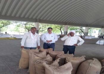 बियाणे खरेदी