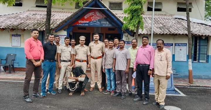 अकोला- मोठा भाऊ ठरला लहान भावाचा कर्दनकाळ, उरळ पोलिसांची उत्तम कामगिरी आरोपीला अटक