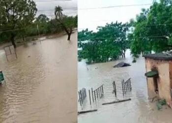 Wardha Flood