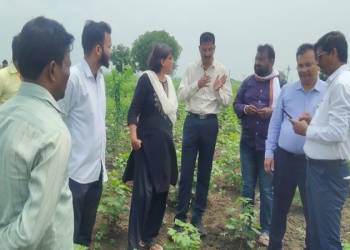 “माझी शेती माझा सातबारा, मीच लिहीणार माझा पीकपेरा” ‘ई-पिक पाहणी’ मोबाईल ॲपव्दारे 7/12 उताऱ्यावर मिळणार पिकांची अचूक नोंद; जिल्हाधिकाऱ्यांनी बांधावर जाऊन सांगितले महत्व