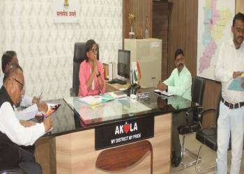 जिल्हा बाल संरक्षण समिती आढावा (