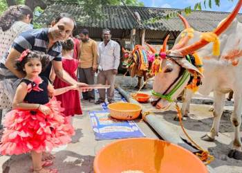 डॉ. पंजाबराव देशमुख कृषी विद्यापीठात पोळा उत्साहात साजरा