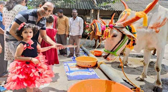 डॉ. पंजाबराव देशमुख कृषी विद्यापीठात पोळा उत्साहात साजरा