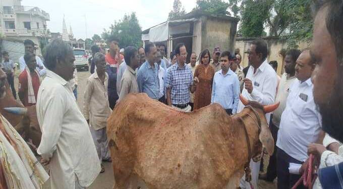 लम्पि स्किन