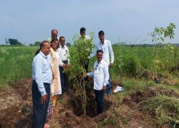 बोरगाव मंजू येथे जिल्हाधिकाऱ्यांच्या हस्ते वृक्षारोपन