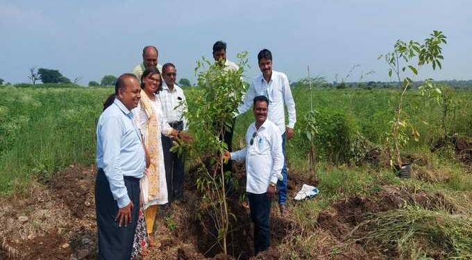 बोरगाव मंजू येथे जिल्हाधिकाऱ्यांच्या हस्ते वृक्षारोपन