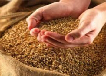 RATION GRAINS