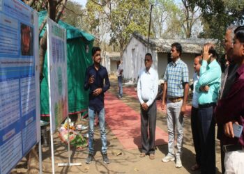 चिकन महोत्सव