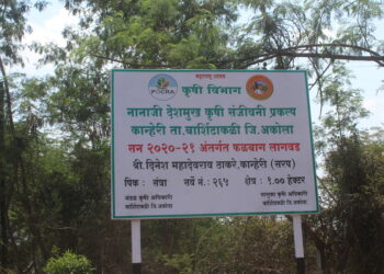 कान्हेरी सरप संत्रा बाग