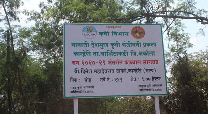 कान्हेरी सरप संत्रा बाग