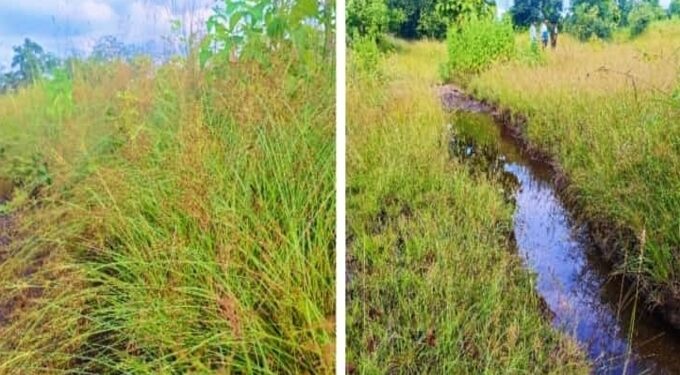 वन क्षेत्रातील ‘कुरणाचे कुंपण’करणार ‘शेताची राखण’