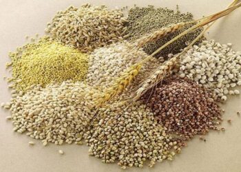 पोष्टीक तृणधान्य