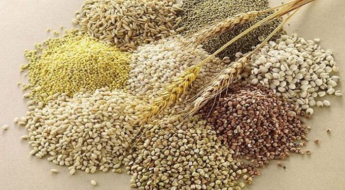 पोष्टीक तृणधान्य