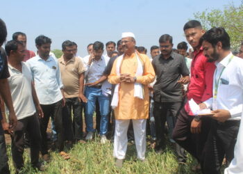 अवकाळी पाऊस, गारपीटग्रस्त भागातील पाहणी; पिकांच्या नुकसानीचे तातडीने पंचनामे करा- कृषीमंत्री अब्दुल सत्तार