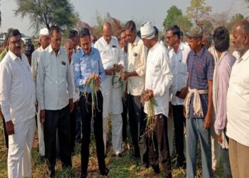 माझोड येथील पिक पाहणी