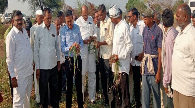 माझोड येथील पिक पाहणी
