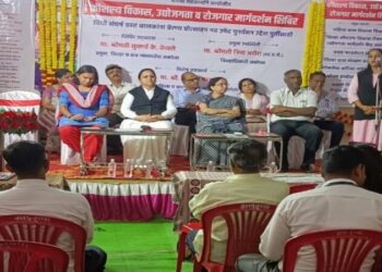 मार्गदर्शन कार्यशाळा