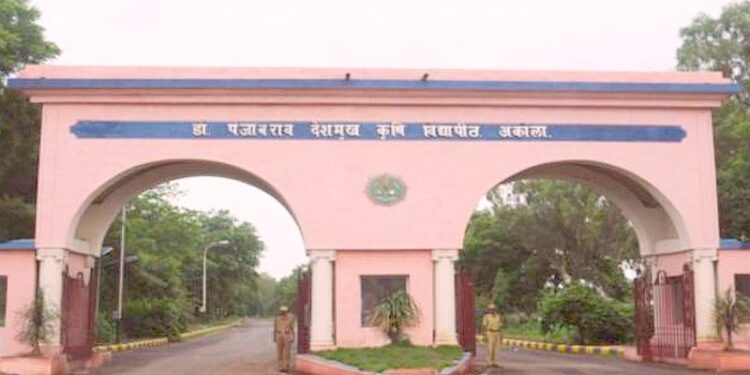 डॉ. पंजाबराव देशमुख कृषी विद्यापीठाच्या आपात्कालीन पीक नियोजन शिफारसी