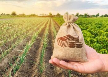 पीक कर्जाचे नुतनीकरण दि.30 जूनपूर्वी करा -जिल्हाधिकाऱ्यांचे शेतकऱ्यांना आवाहन