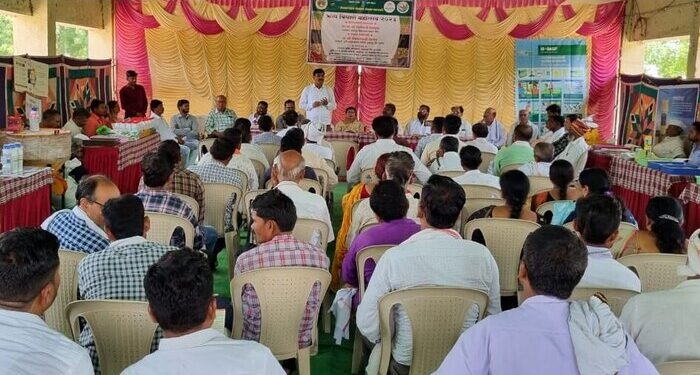 वाडेगाव येथील बियाणे महोत्सवाला उत्स्फुर्त प्रतिसाद महागडे बियाणे टाळा, घरगुती बियाणे वापरा