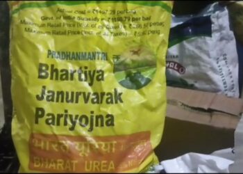 निफाडमध्ये युरियाचा काळा बाजार, मुंबईला जाणारा ट्रक पकडला