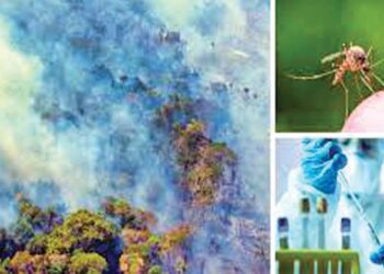 हवामान बदलामुळे वाढत आहे आजारांचा धोका