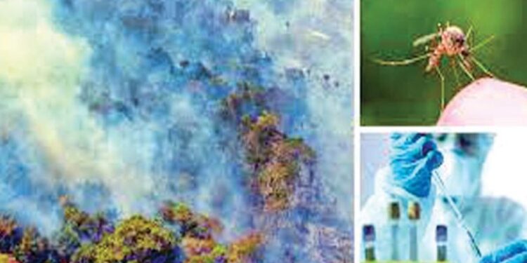 हवामान बदलामुळे वाढत आहे आजारांचा धोका