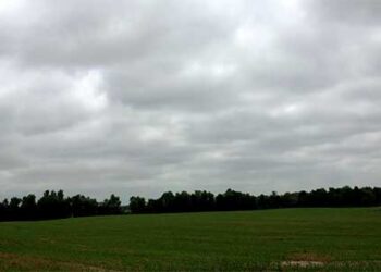 राज्यातून पाऊस गायब ! चिंता वाढली!!